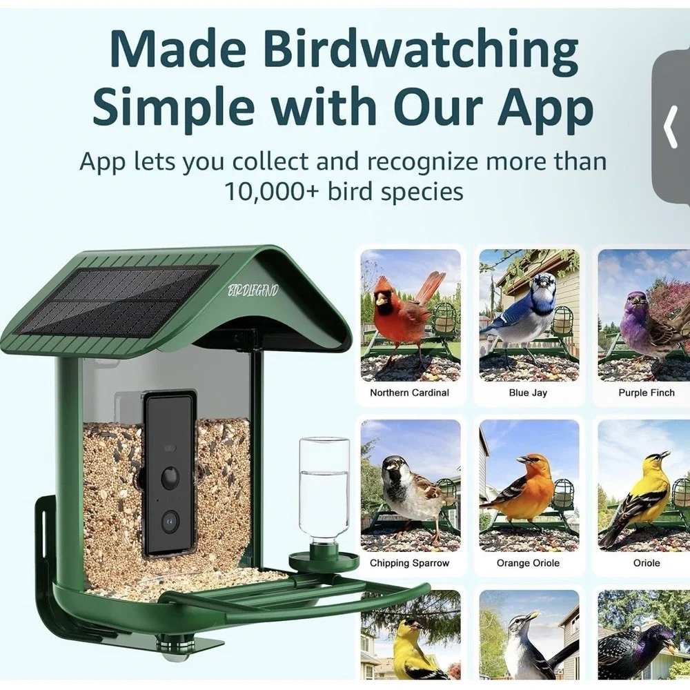 BIRDLEGEND 2L Bird Feeder with Camera Solar Powered 2K Smart Outdoor Feeder
